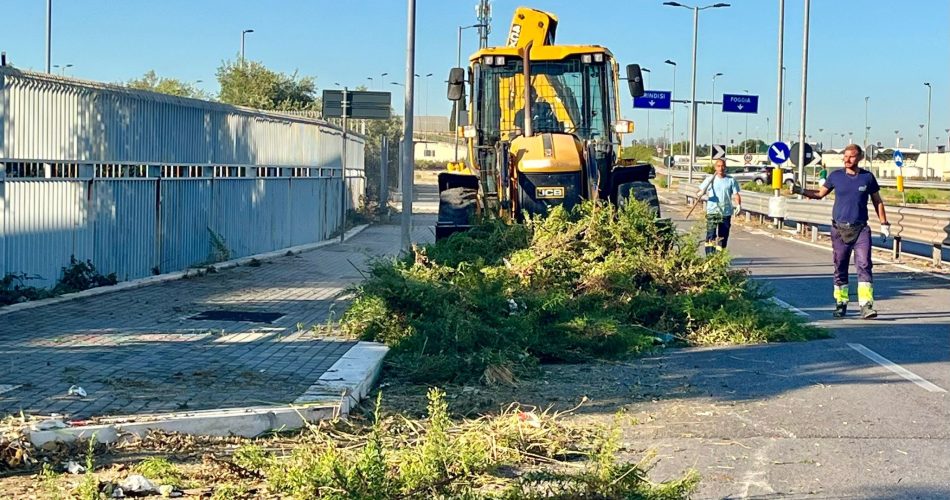 WhatsApp Image 2025-09-05 at 09.14.10