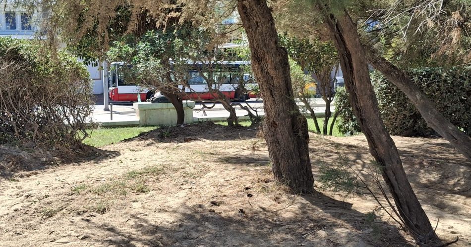 WhatsApp Image 2025-09-12 at 13.41.32