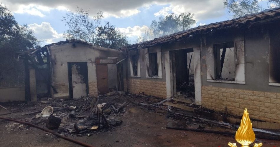 WhatsApp Image 2025-09-30 at 08.23.46