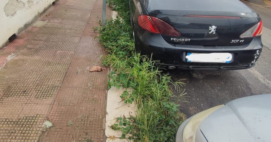 WhatsApp Image 2025-10-02 at 10.31.53