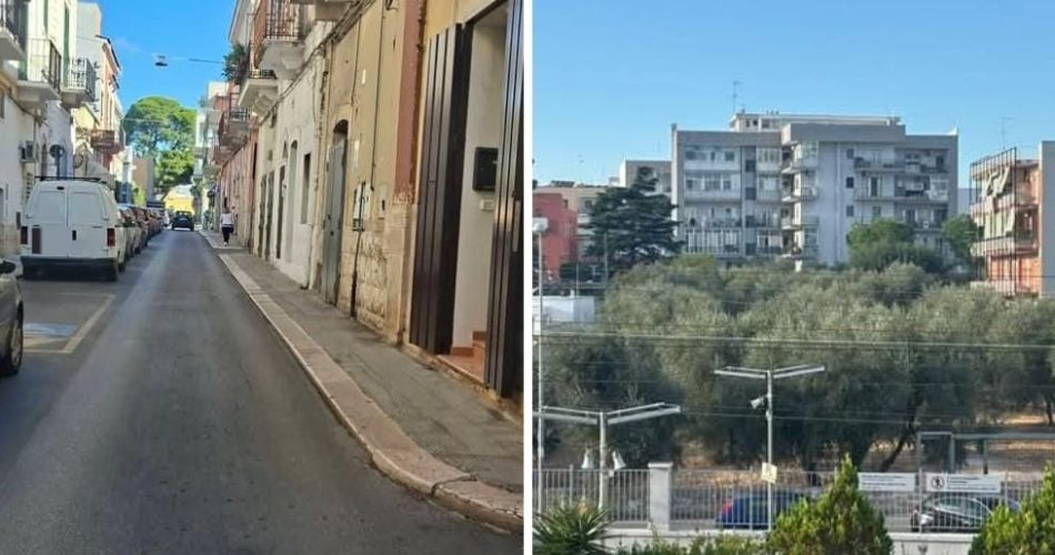 WhatsApp Image 2025-10-02 at 16.38.01