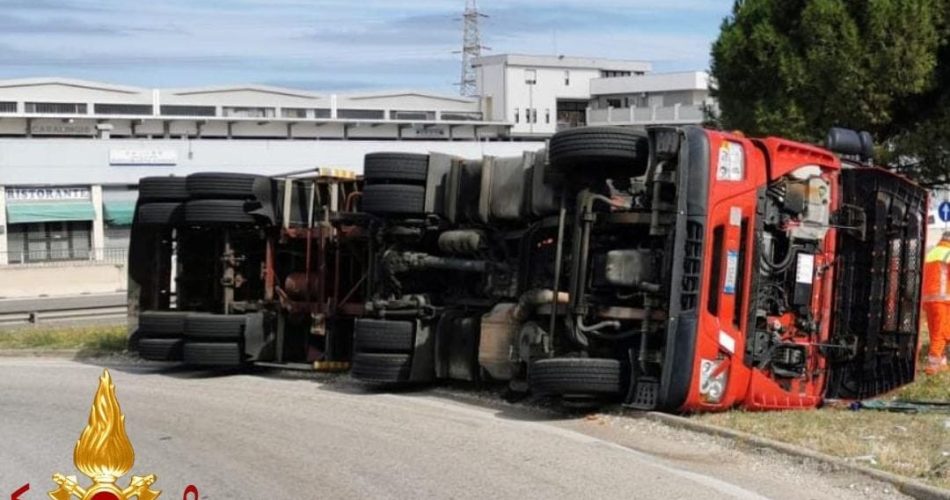 WhatsApp Image 2025-10-10 at 13.11.14