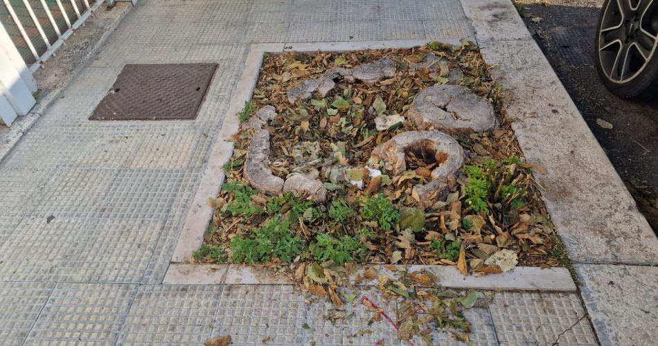 WhatsApp Image 2025-10-13 at 09.03.13