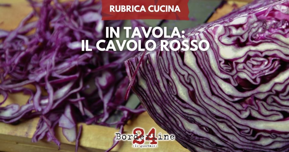 cavolo rosso