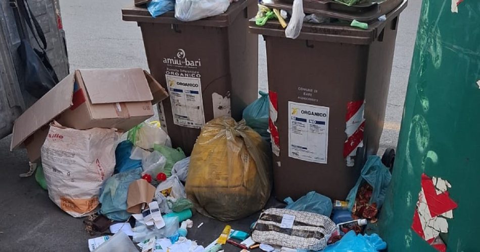 WhatsApp Image 2025-10-23 at 10.50.19 (1)