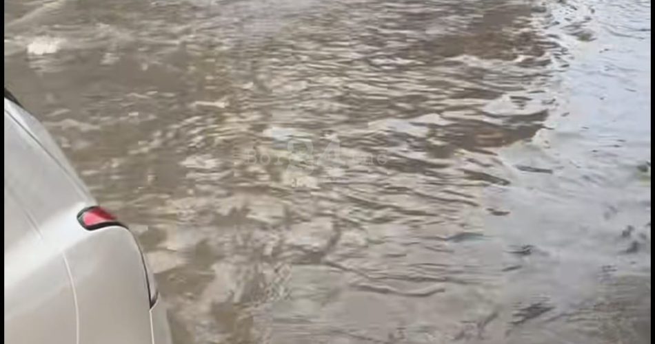 WhatsApp Image 2025-10-31 at 16.21.11