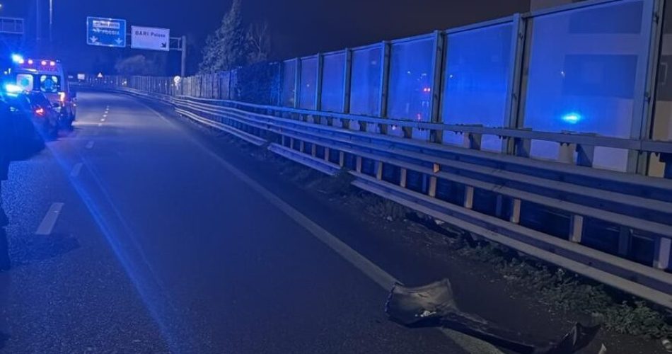 WhatsApp Image 2025-11-01 at 09.10.47