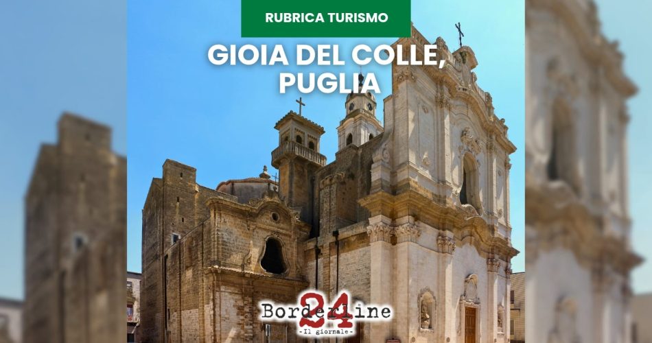 WhatsApp Image 2025-11-03 at 16.09.07