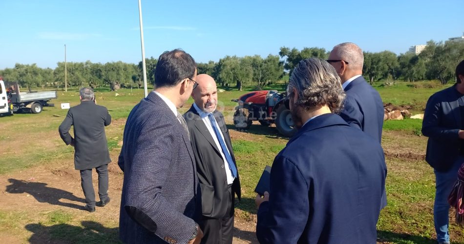 WhatsApp Image 2025-11-06 at 10.31.20