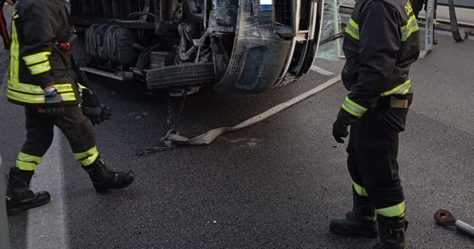 WhatsApp Image 2025-11-08 at 12.18.14