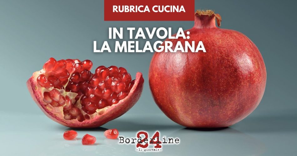 WhatsApp Image 2025-11-12 at 11.32.24