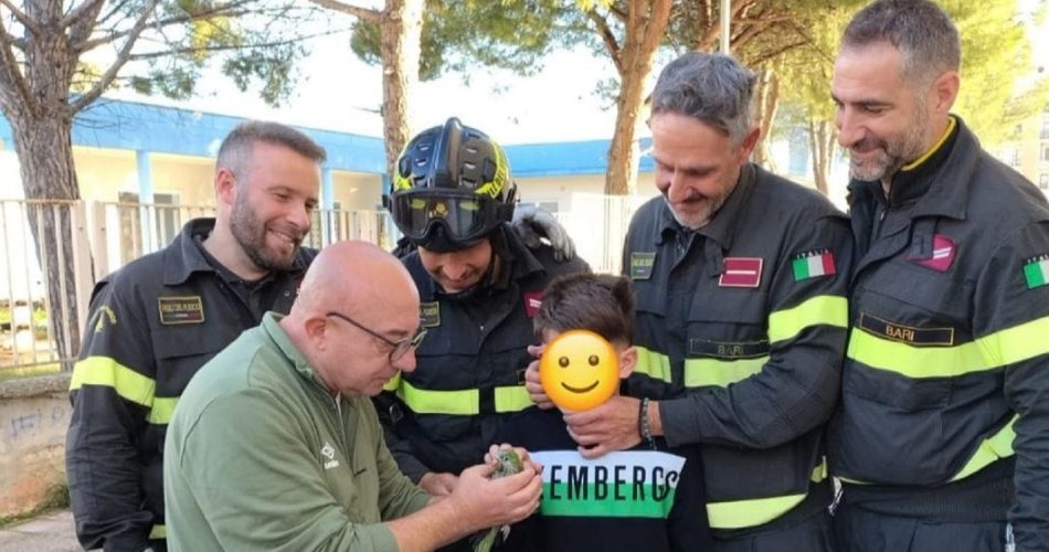 WhatsApp Image 2025-11-15 at 18.13.09