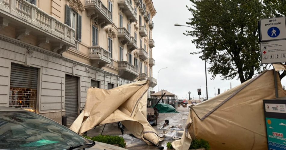 WhatsApp Image 2025-12-04 at 08.54.53