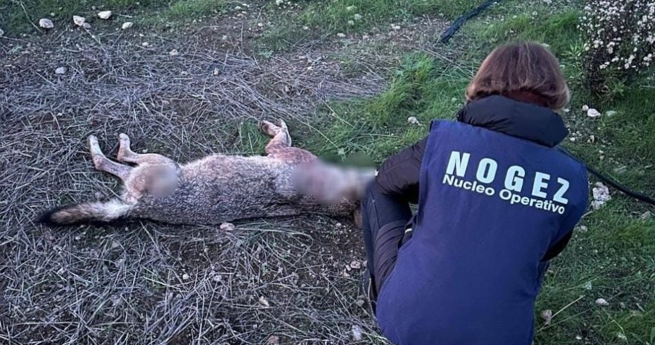 WhatsApp Image 2025-12-09 at 08.41.17