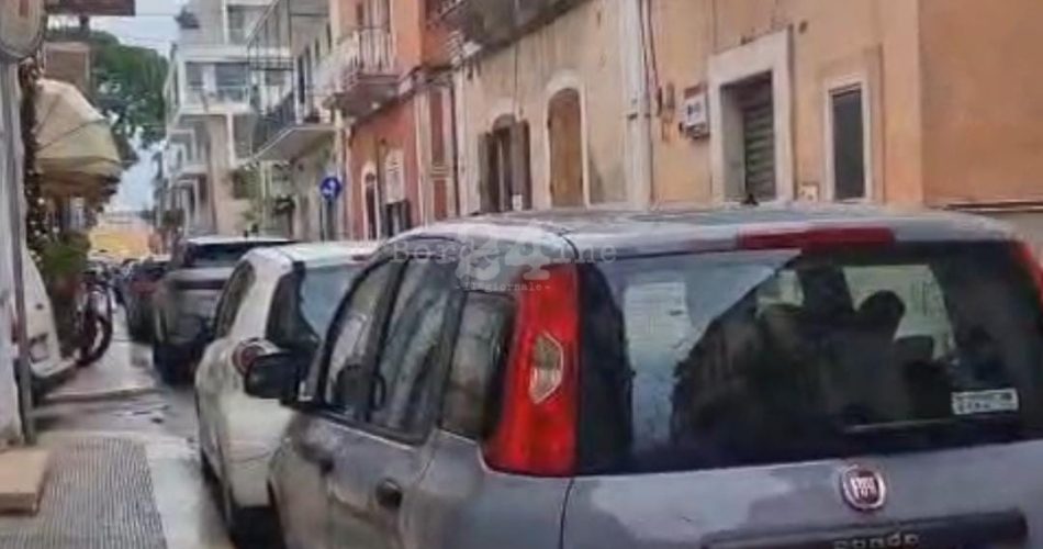 caos parcheggio palese