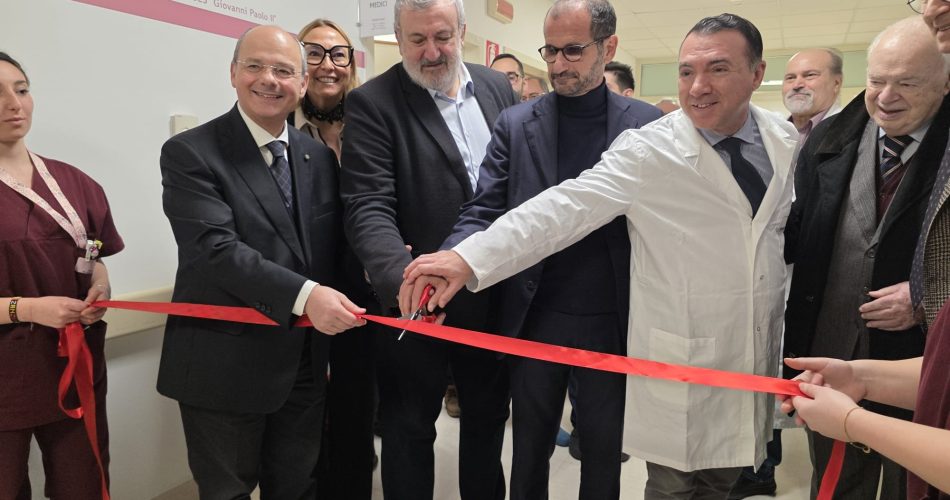 WhatsApp Image 2025-12-19 at 11.34.51