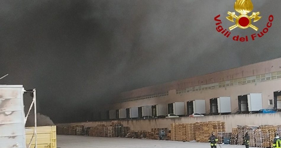 WhatsApp Image 2025-12-27 at 10.05.57