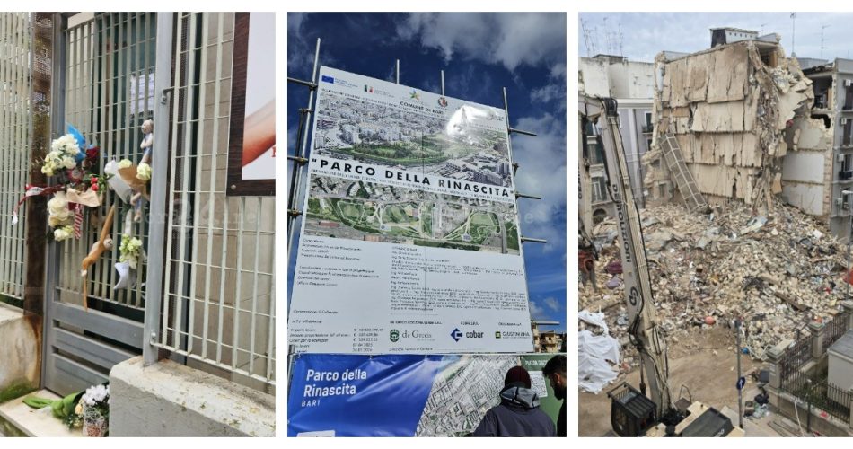 WhatsApp Image 2025-12-30 at 12.59.08