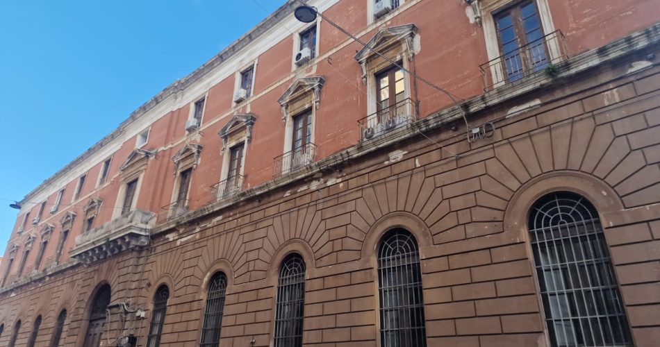 WhatsApp Image 2026-01-10 at 11.59.17