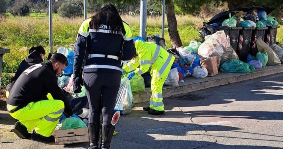 WhatsApp Image 2026-01-14 at 12.21.32