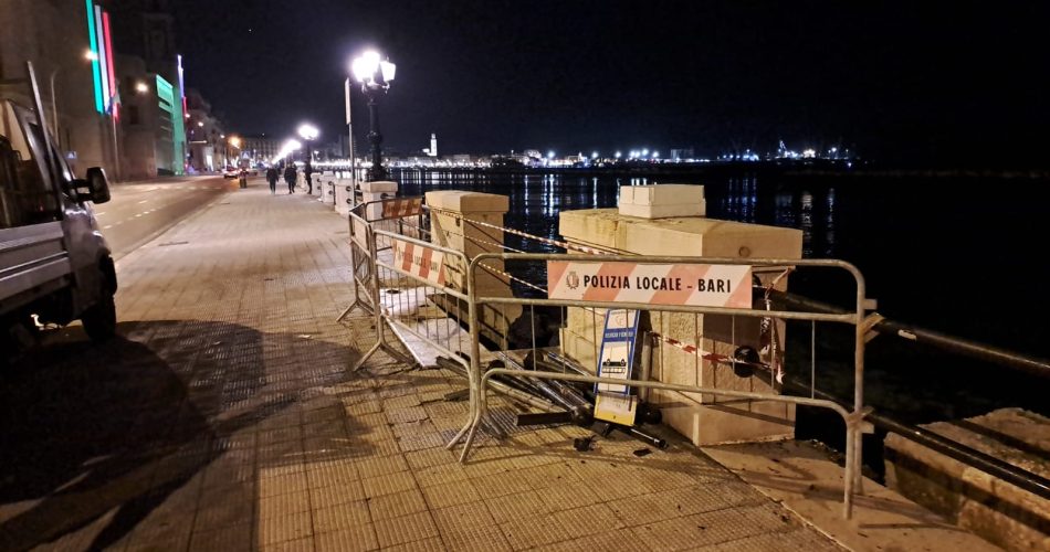 WhatsApp Image 2026-01-15 at 09.16.56