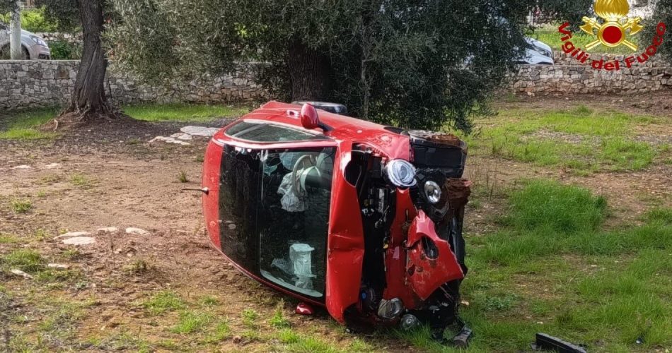 WhatsApp Image 2026-01-16 at 17.27.49