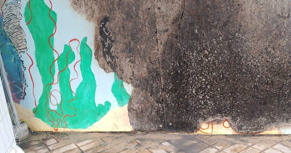 WhatsApp Image 2026-01-19 at 09.50.04