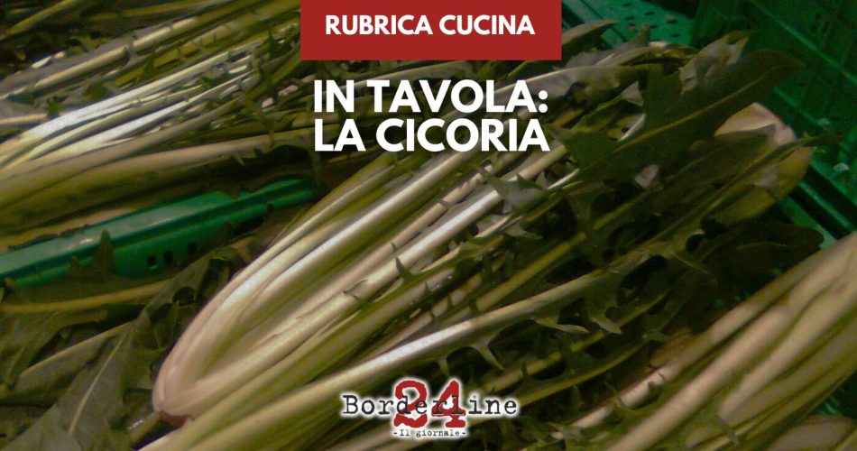 WhatsApp Image 2026-01-19 at 16.45.55