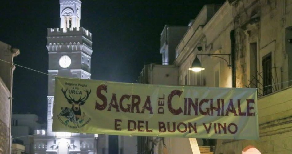 WhatsApp Image 2026-01-21 at 12.35.19