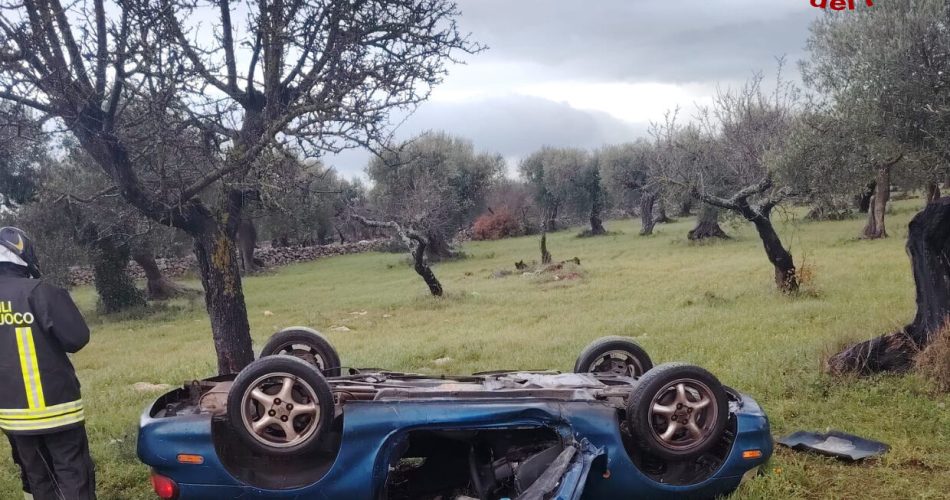 WhatsApp Image 2026-01-26 at 10.29.43