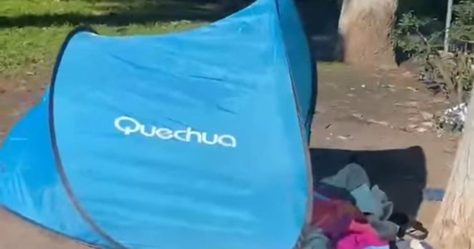 WhatsApp Image 2026-01-31 at 11.47.44