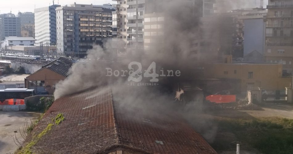 WhatsApp Image 2026-02-03 at 09.13.30