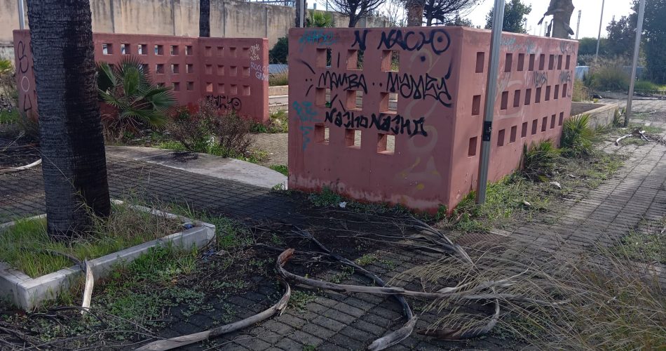 WhatsApp Image 2026-02-06 at 12.00.32