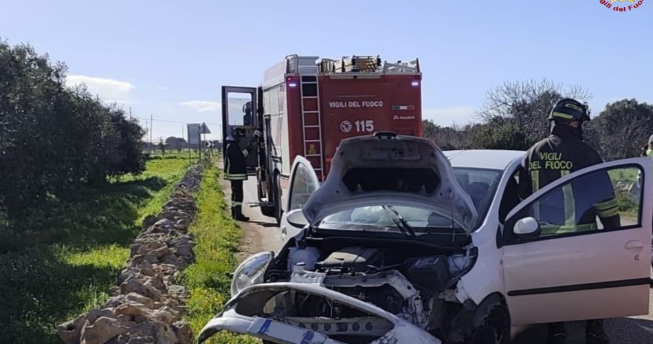 WhatsApp Image 2026-02-06 at 15.50.19 (1)