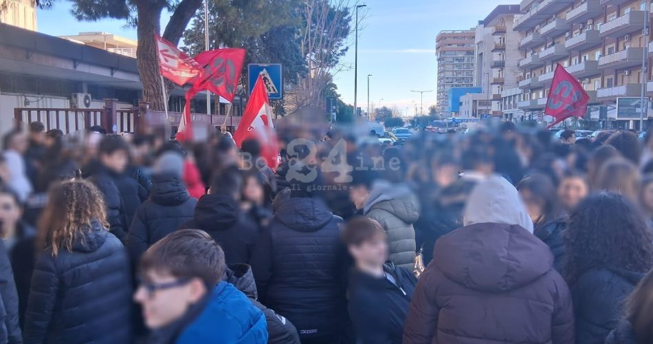 WhatsApp Image 2026-02-10 at 08.30.55