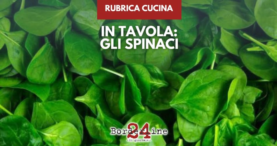 WhatsApp Image 2026-02-10 at 15.52.58