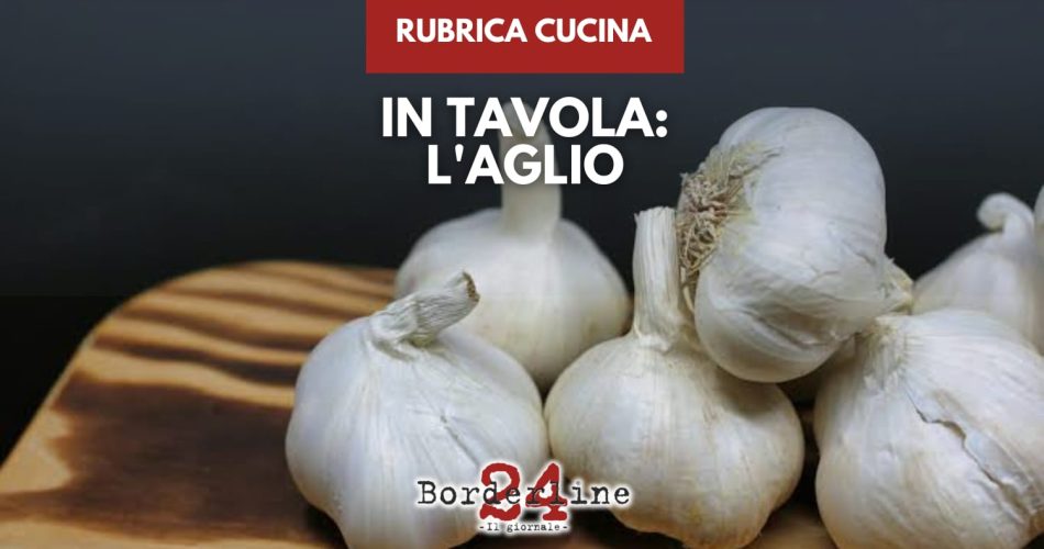 WhatsApp Image 2026-02-10 at 15.53.07 (1)