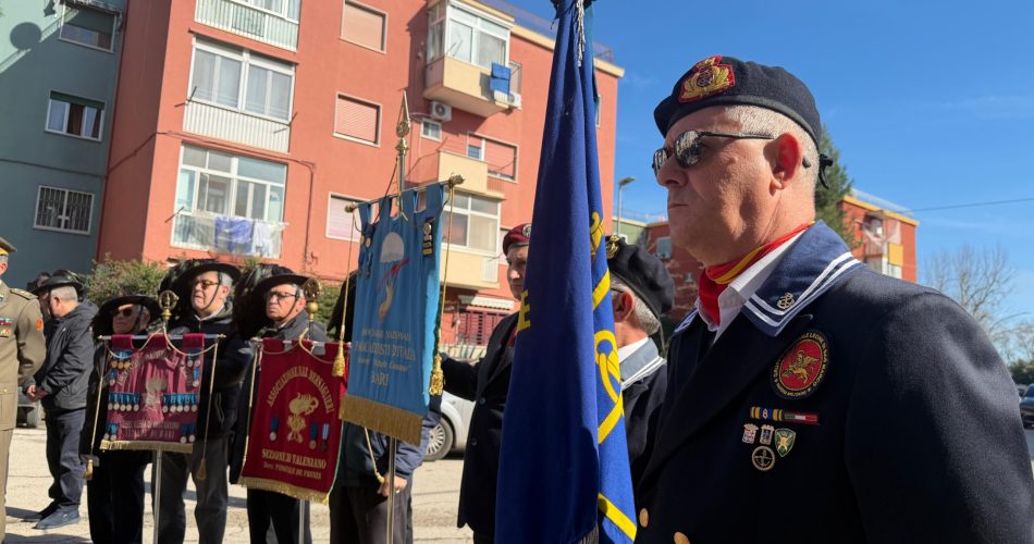 WhatsApp Image 2026-02-10 at 18.05.04