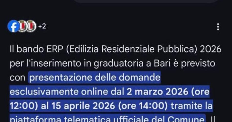 WhatsApp Image 2026-02-11 at 15.29.45