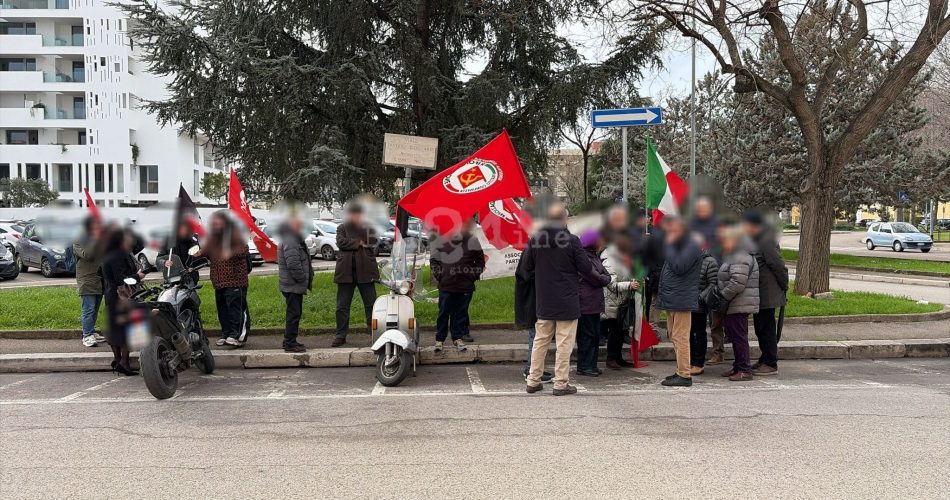 WhatsApp Image 2026-02-12 at 10.27.34