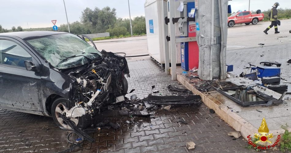 WhatsApp Image 2026-02-13 at 15.56.47