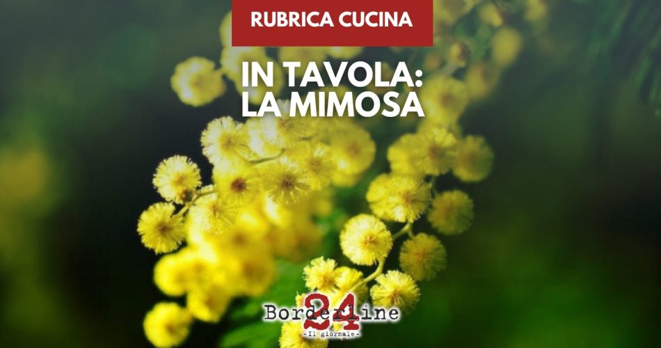 WhatsApp Image 2026-02-17 at 10.57.12 (1)