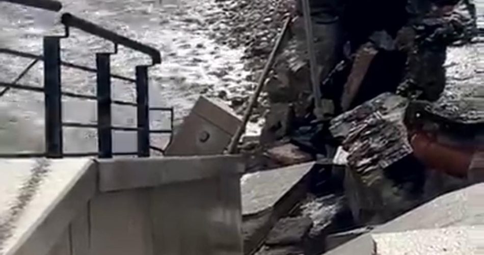 WhatsApp Image 2026-02-17 at 11.11.41