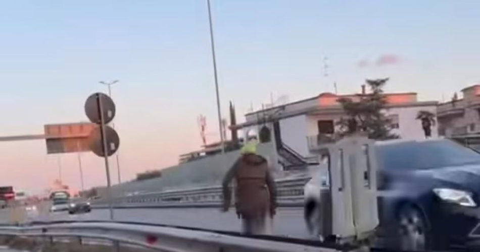 WhatsApp Image 2026-02-17 at 12.03.23