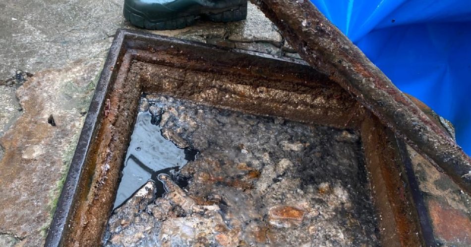 WhatsApp Image 2026-02-19 at 12.53.03 (1)