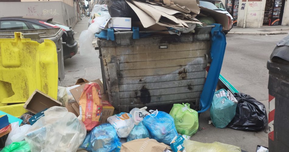 WhatsApp Image 2026-03-02 at 08.29.34