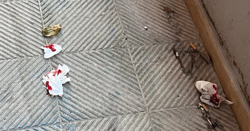 WhatsApp Image 2026-03-04 at 12.38.23