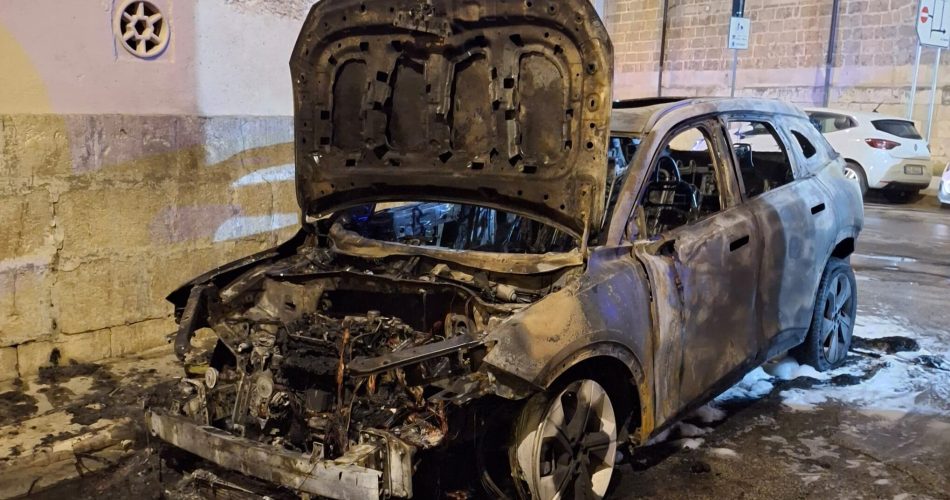 WhatsApp Image 2026-03-06 at 12.54.10