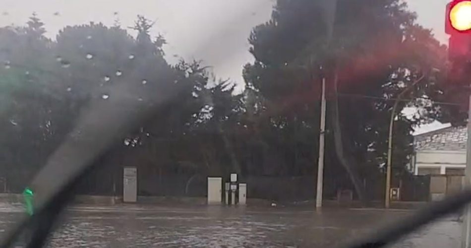 WhatsApp Image 2026-03-09 at 08.15.14