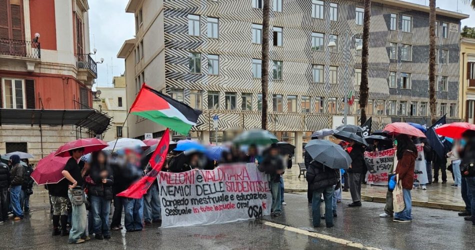 WhatsApp Image 2026-03-09 at 09.44.51